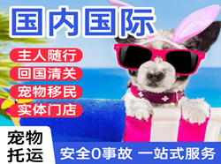鄂州花湖航空运输国际宠物托运 【国